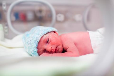 Protocolo de seguimiento para el recién nacido menor de 1500 g o menor de 32 semanas de gestación